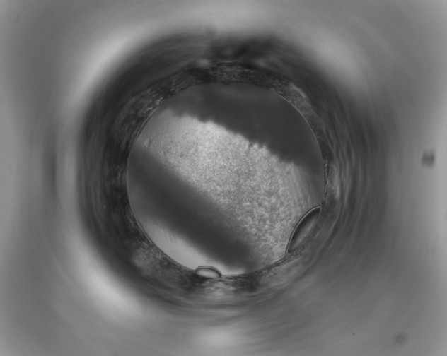 X0000093530526200710261254