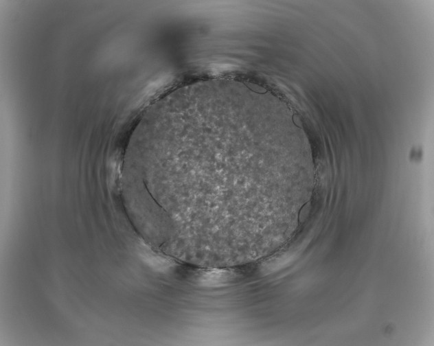 X0000093530527200710261254