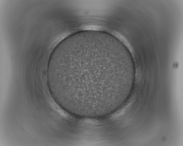 X0000093530529200710261253