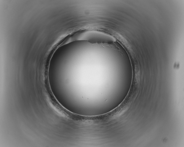 X0000093530530200710261253