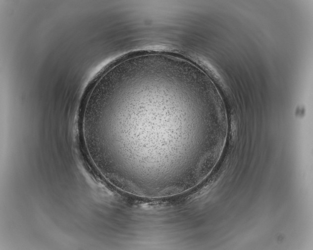 X0000093530532200710261253