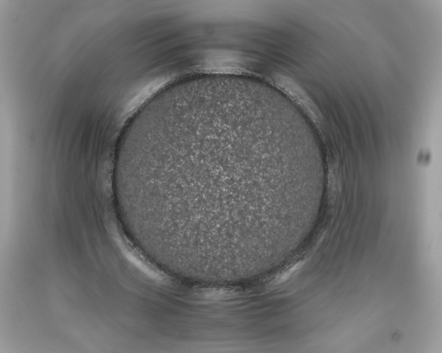 X0000093530533200710261253