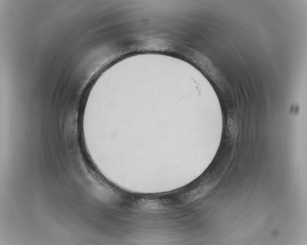 X0000093530534200710261253