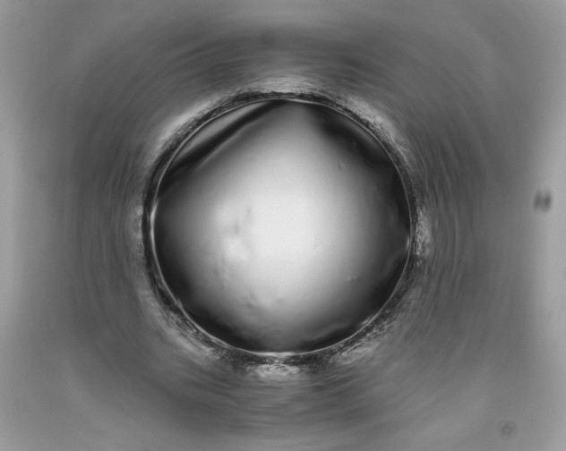 X0000093530535200710261253