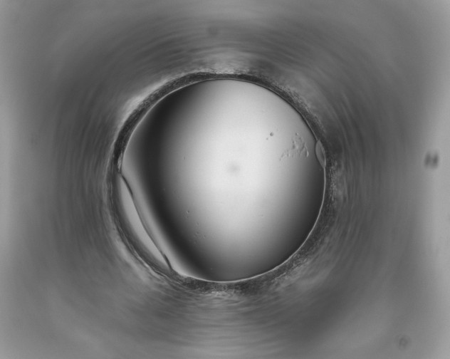 X0000093530536200710261253