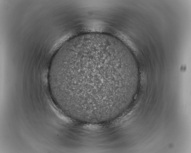 X0000093530537200710261253