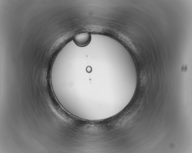 X0000093530538200710261253