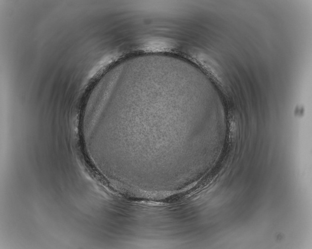 X0000093530539200710261253