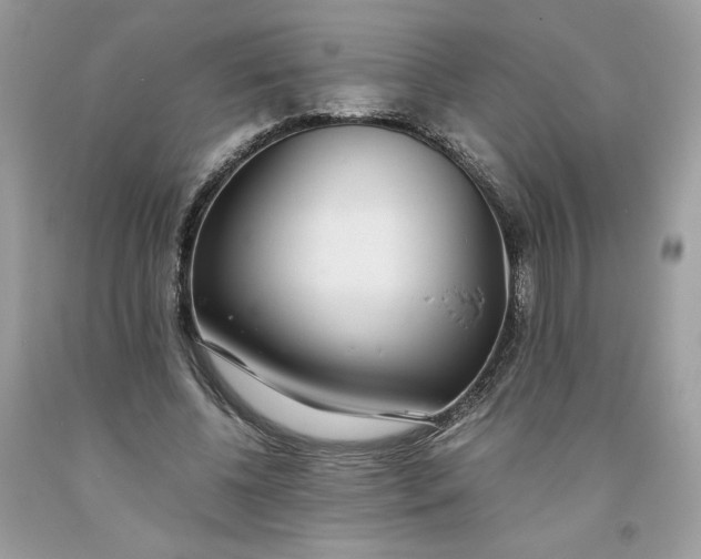 X0000093530540200710261253