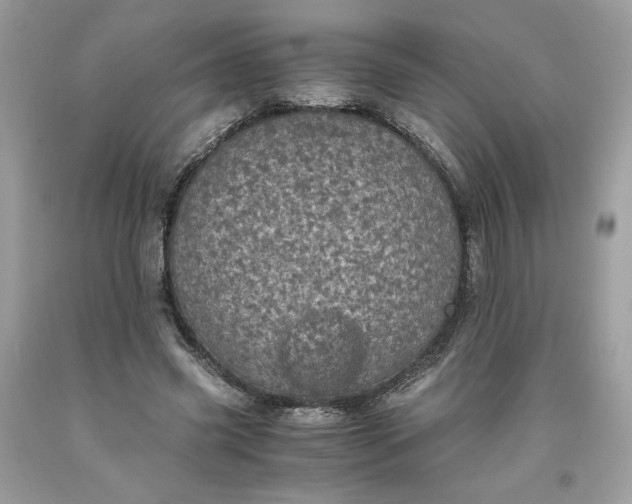 X0000093530541200710261253