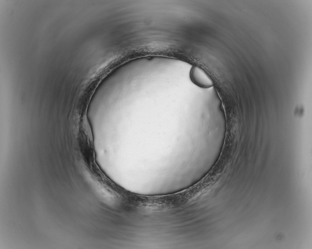 X0000093530542200710261253