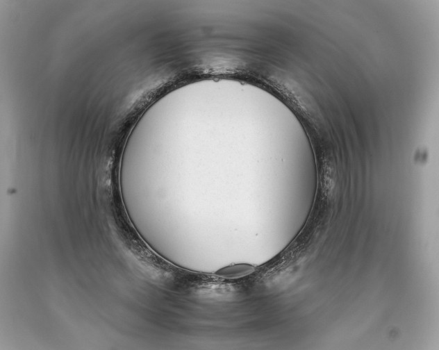 X0000093530543200710261253