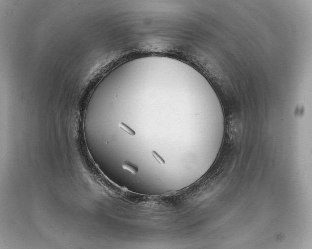 X0000093530544200710261254