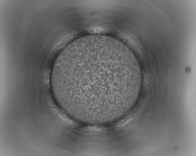 X0000093530545200710261254