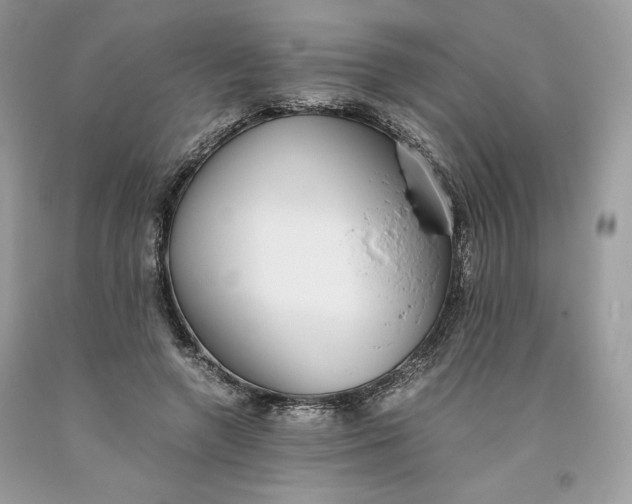 X0000093530546200710261254