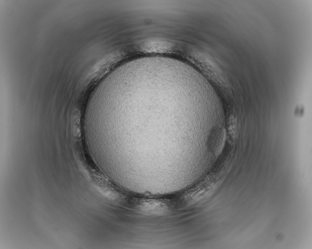 X0000093530547200710261254