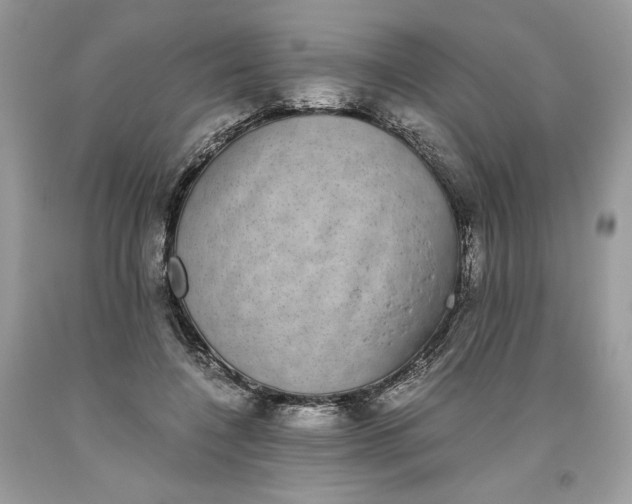 X0000093530548200710261254