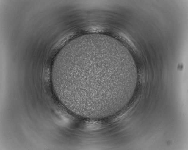 X0000093530549200710261254