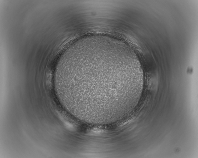 X0000093530550200710261254