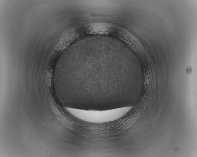 X0000093530551200710261254