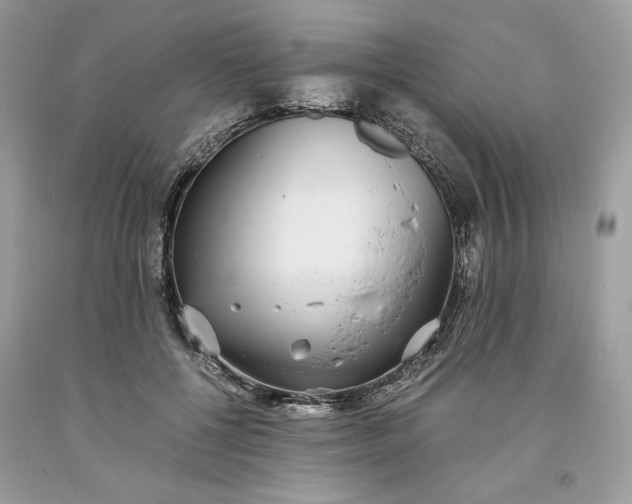 X0000093530552200710261254