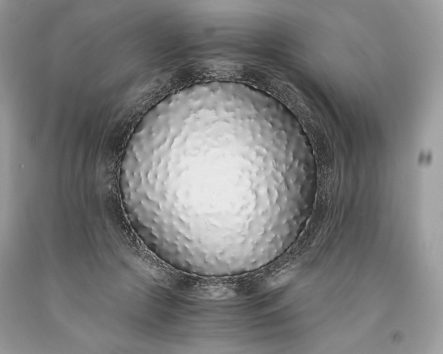 X0000093530553200710261254