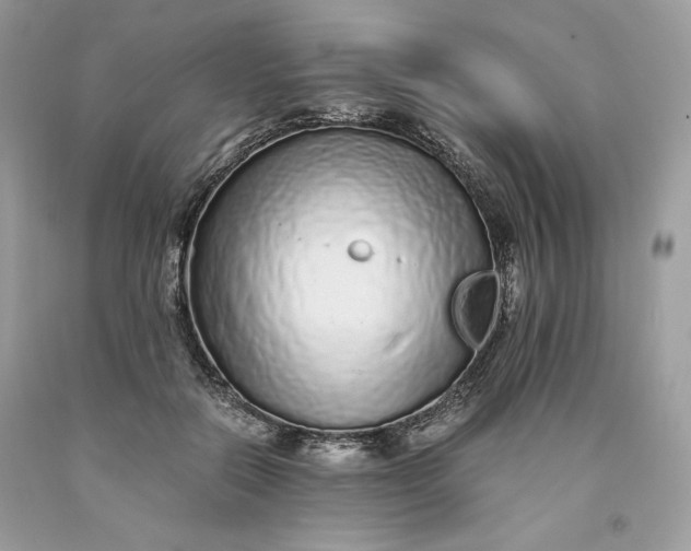 X0000093530554200710261254