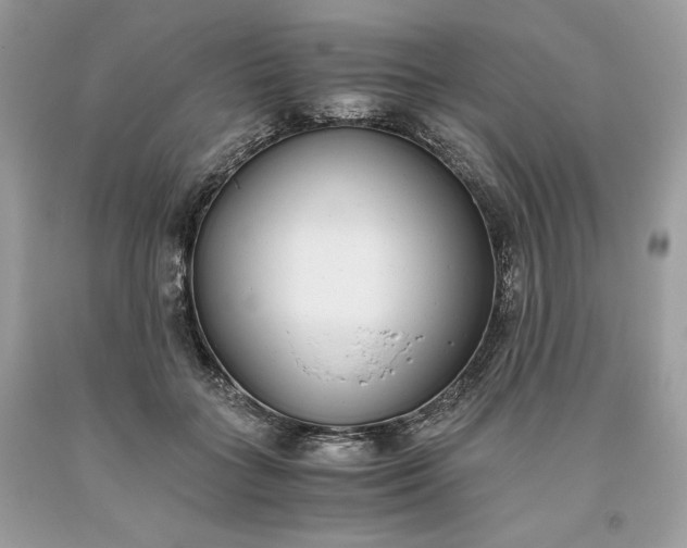 X0000093530555200710261254