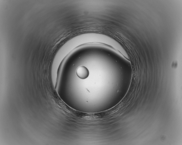 X0000093530556200710261254