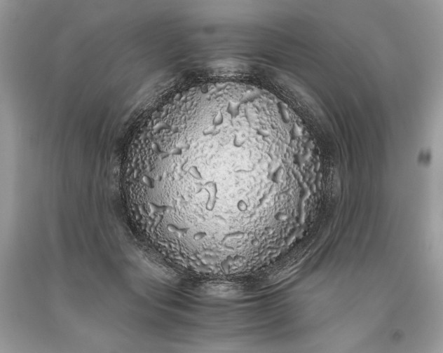 X0000093530557200710261254