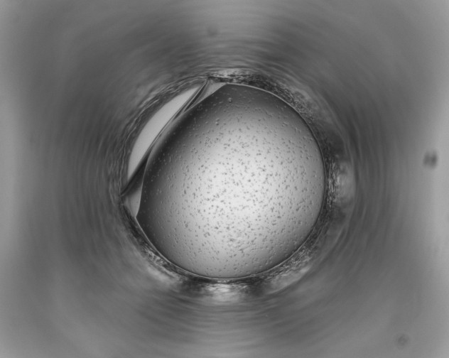 X0000093530558200710261254