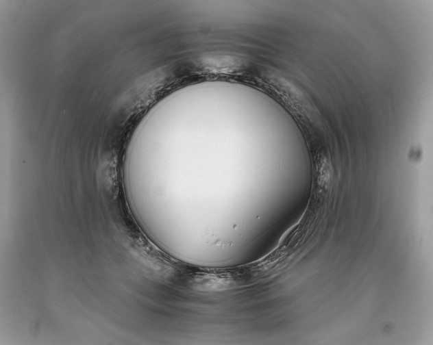 X0000093530559200710261254