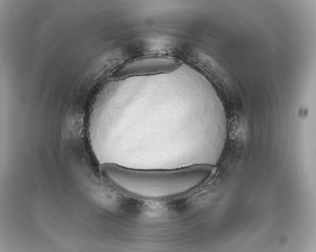 X0000093530560200710261254