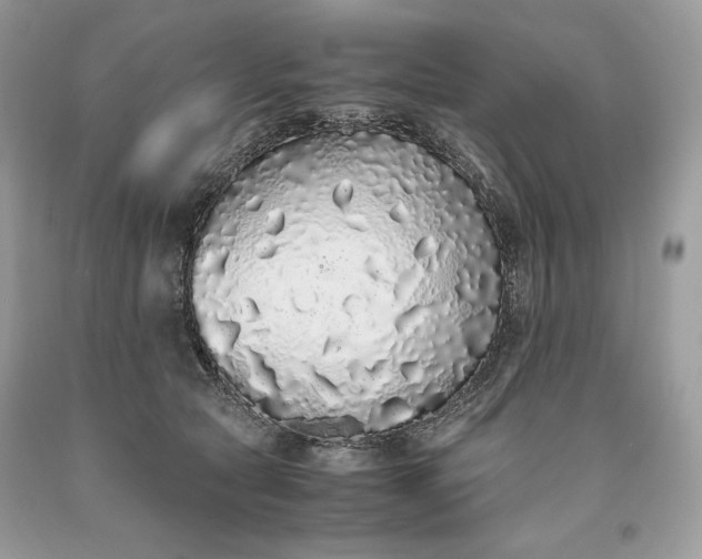 X0000093530561200710261254