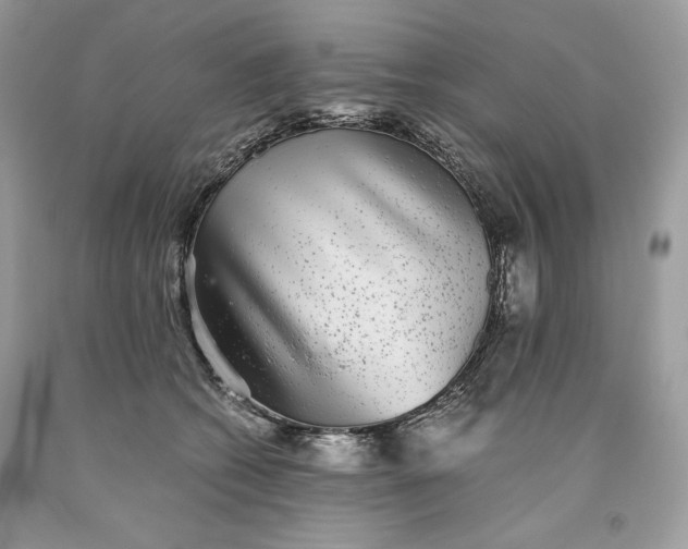 X0000093530562200710261254