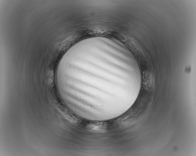 X0000093530563200710261254