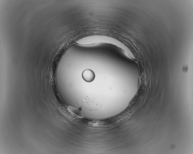 X0000093530564200710261254