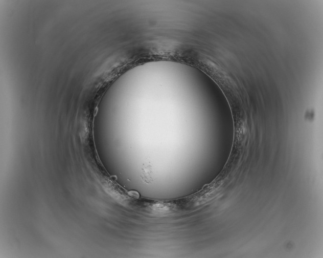 X0000093530566200710261254