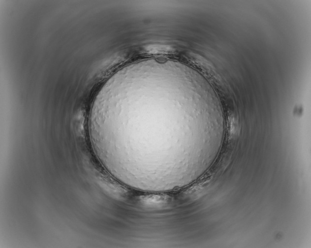 X0000093530567200710261254