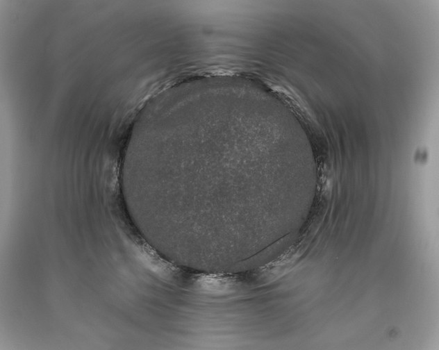 X0000093530568200710261254