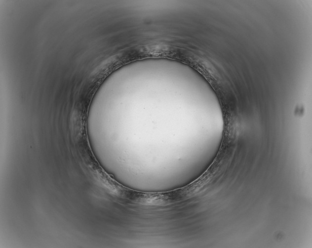 X0000093530569200710261254