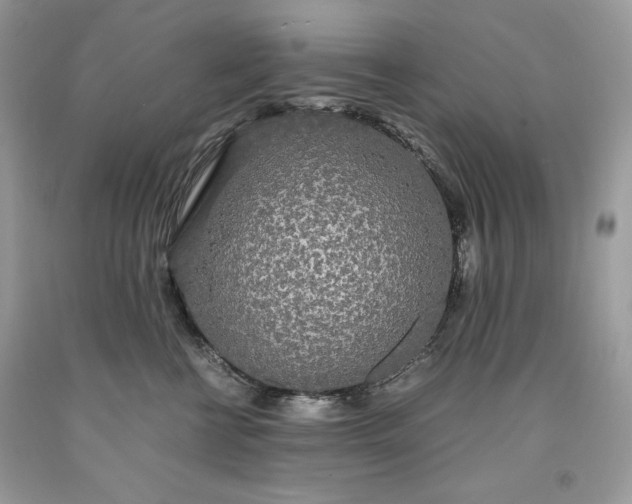 X0000093530570200710261254