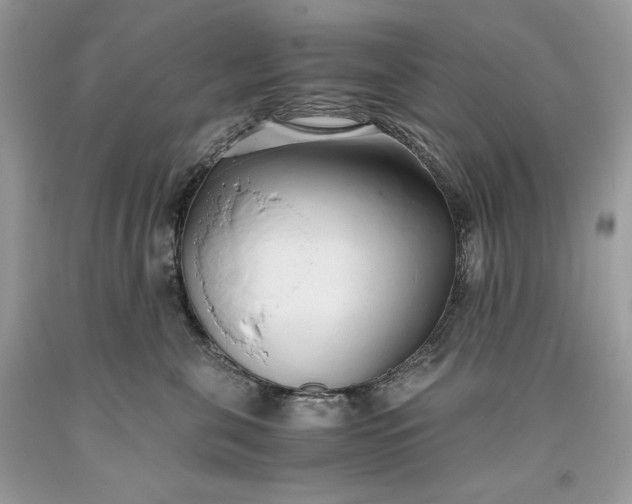 X0000093530571200710261254