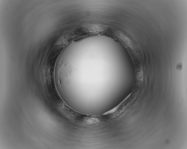 X0000093530572200710261254