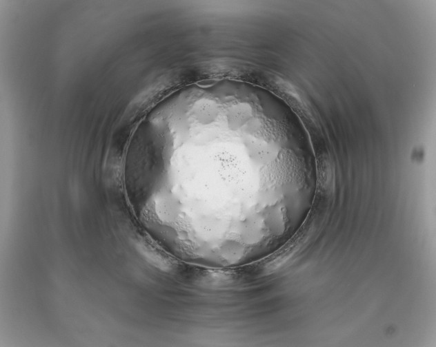 X0000093530573200710261254