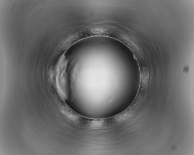 X0000093530574200710261254