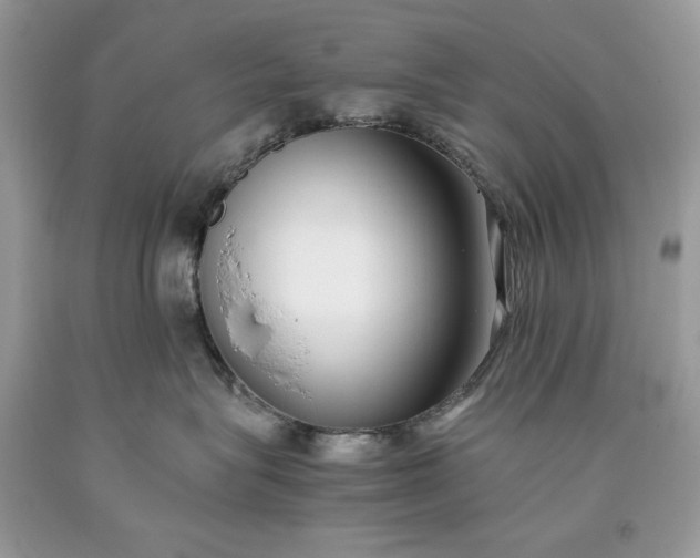 X0000093530575200710261254