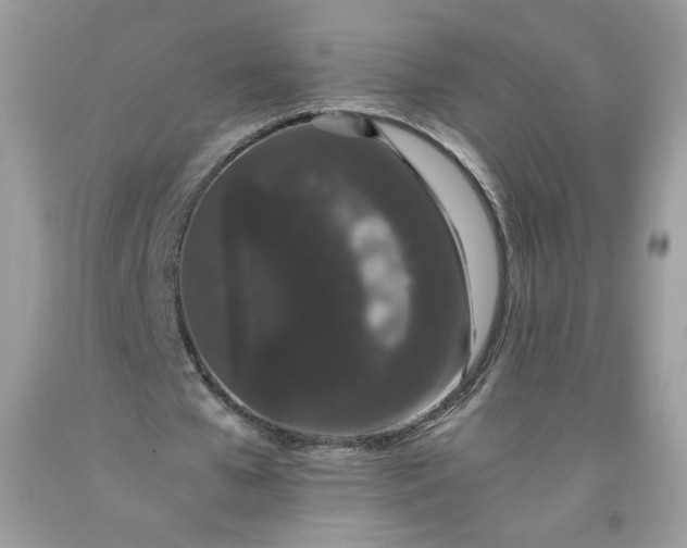 X0000093530577200710261253