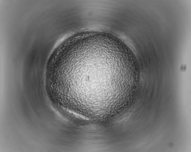 X0000093530578200710261253