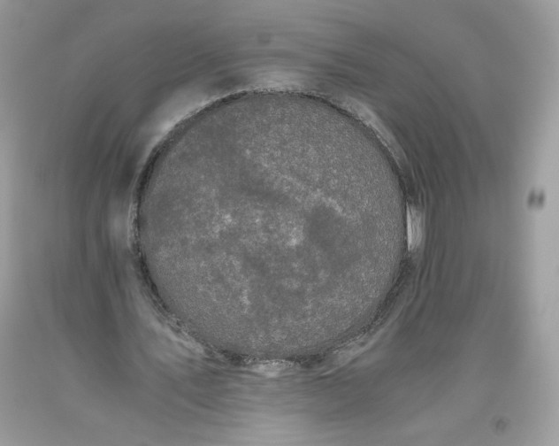 X0000093530579200710261253